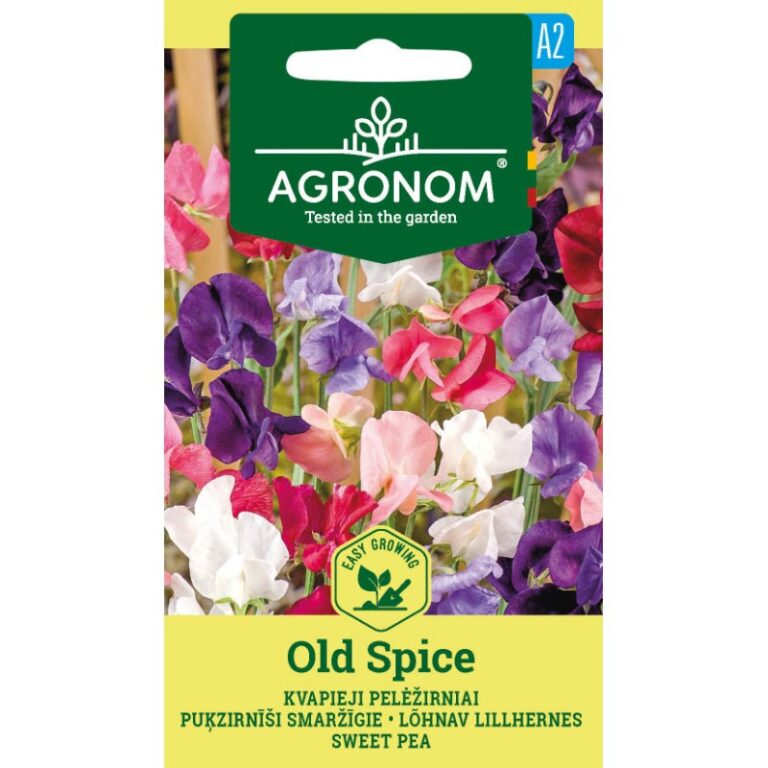 Lõhnav lillhernes "Old Spice" AGRONOM 2 g