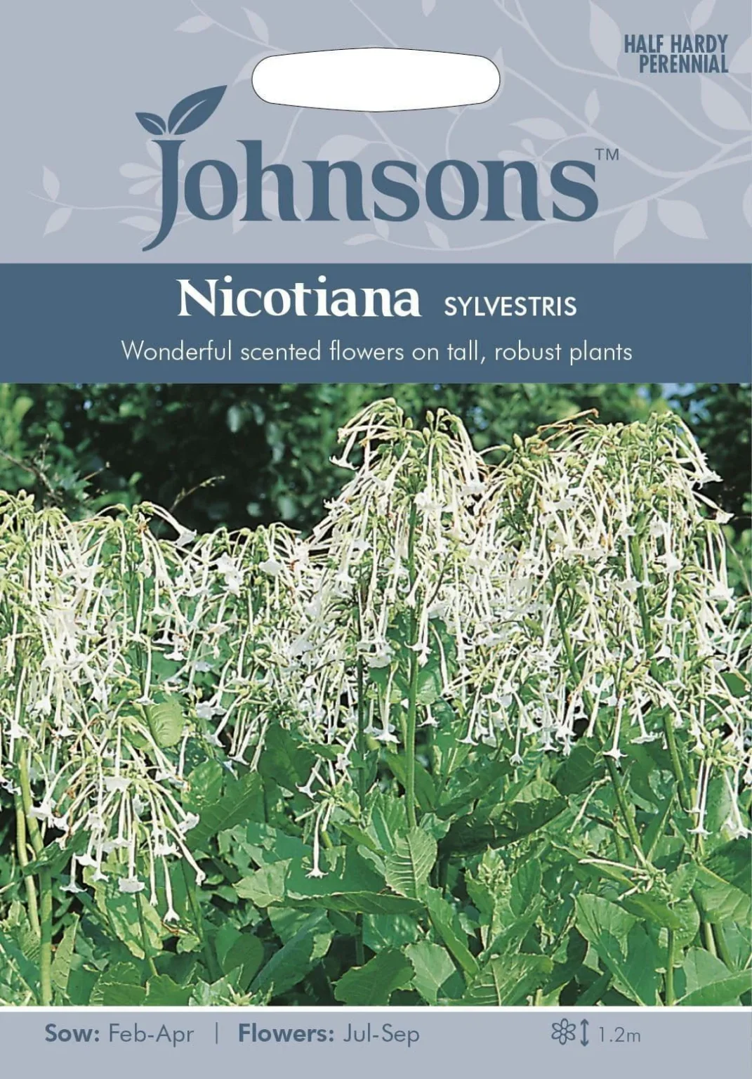 Villitupakka "Nicotiana" Johnsons 2000 siementä