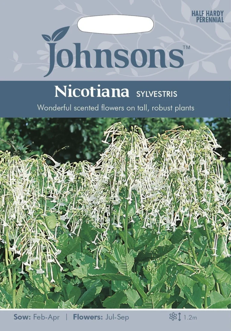 Metstubakas "Nicotiana" Johnsons 2000 s.