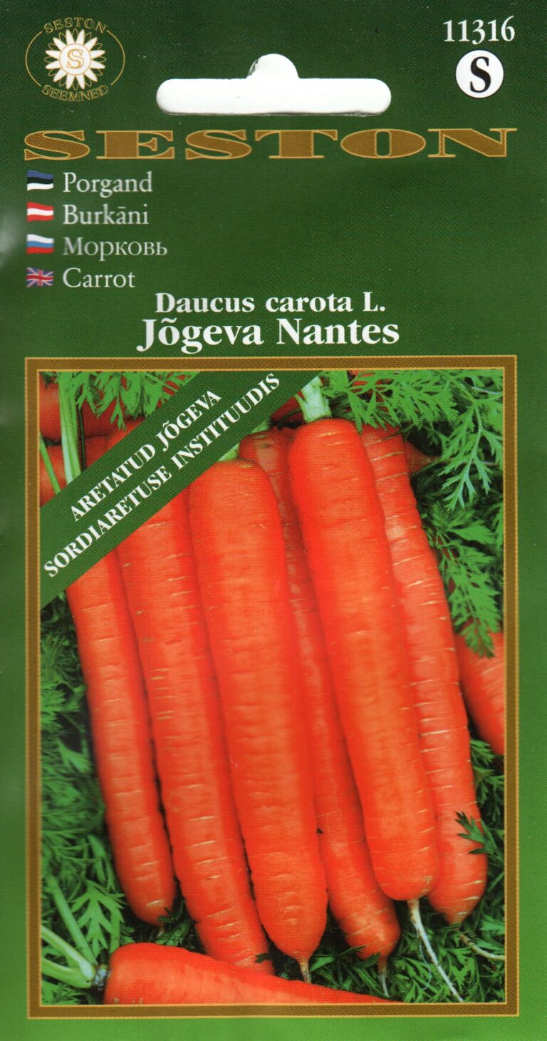Porgand "Jõgeva Nantes" SESTON 1 g