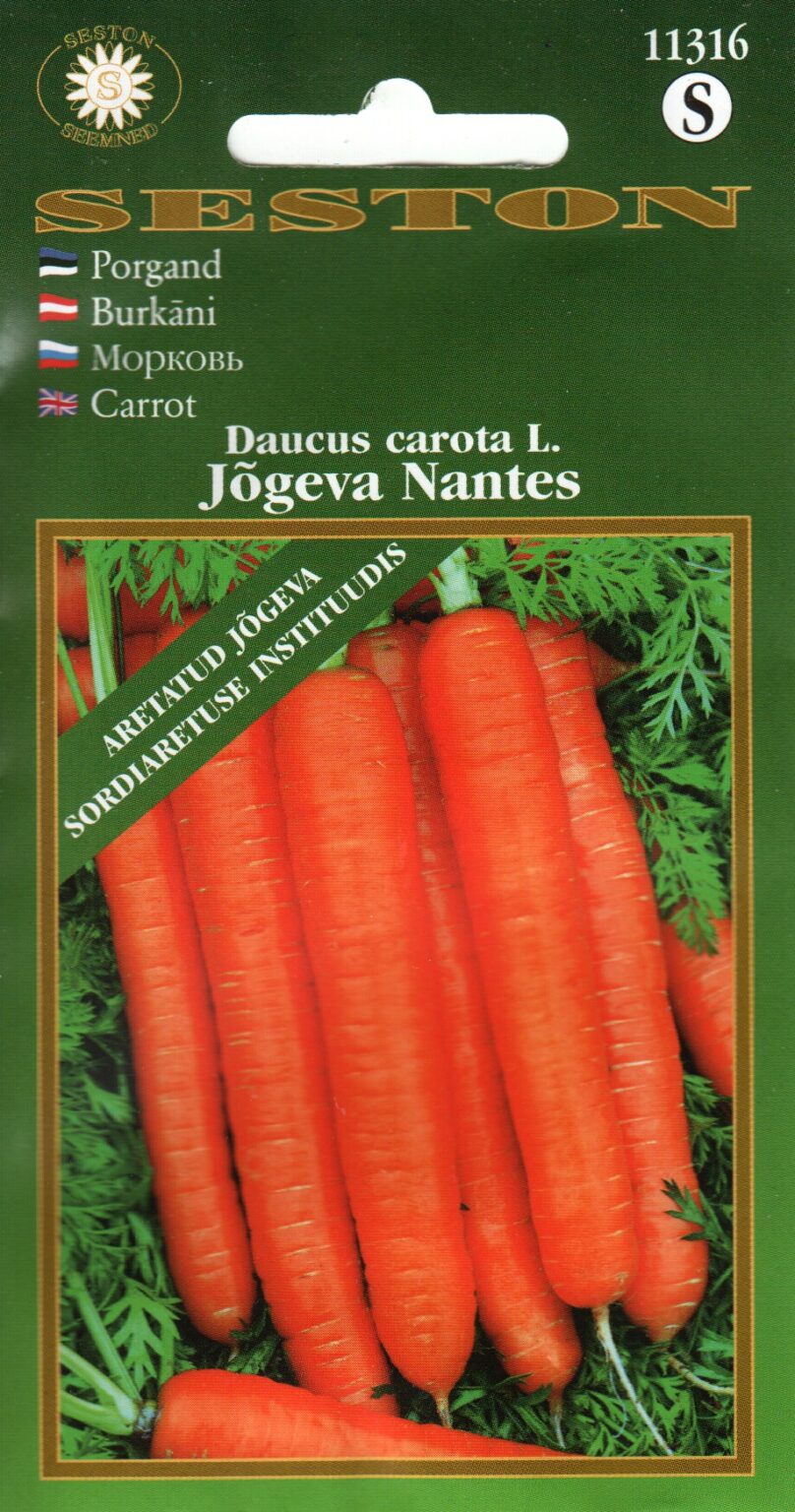Morkos "Jõgeva Nantes" SESTON 1 g
