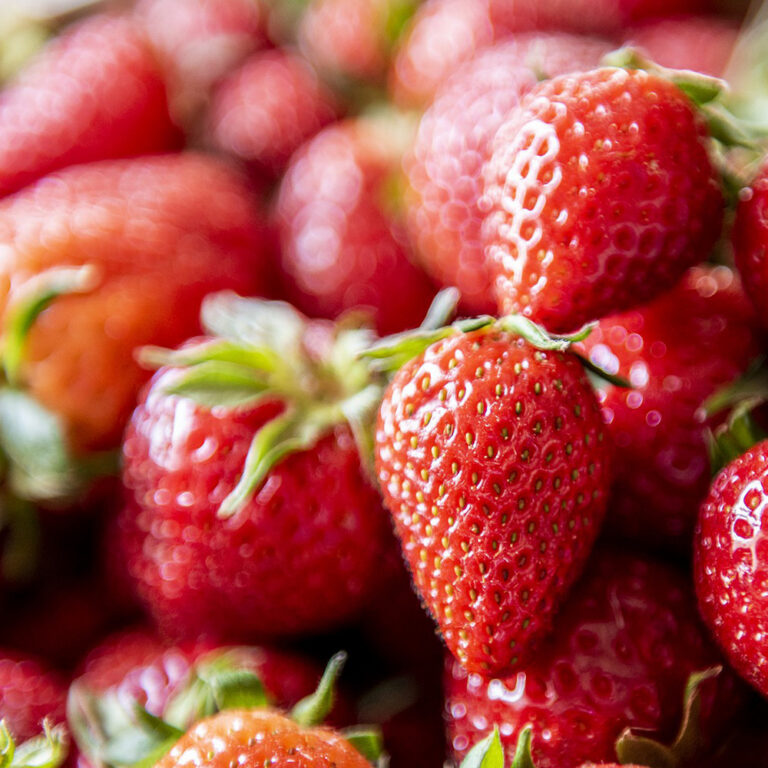 Клубника садовая "Twist" (Fragaria ananassa "Twist")