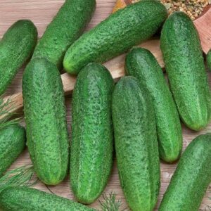 Kurk bio "Profi H" KURZEMES SĒKLAS 0,2 g