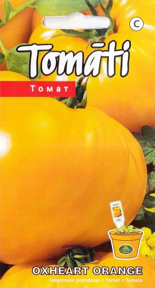 Tomato "Oxheart Orange" Žalia stotele 0.1 g