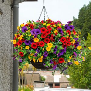 Calibrachoa, muud sordid