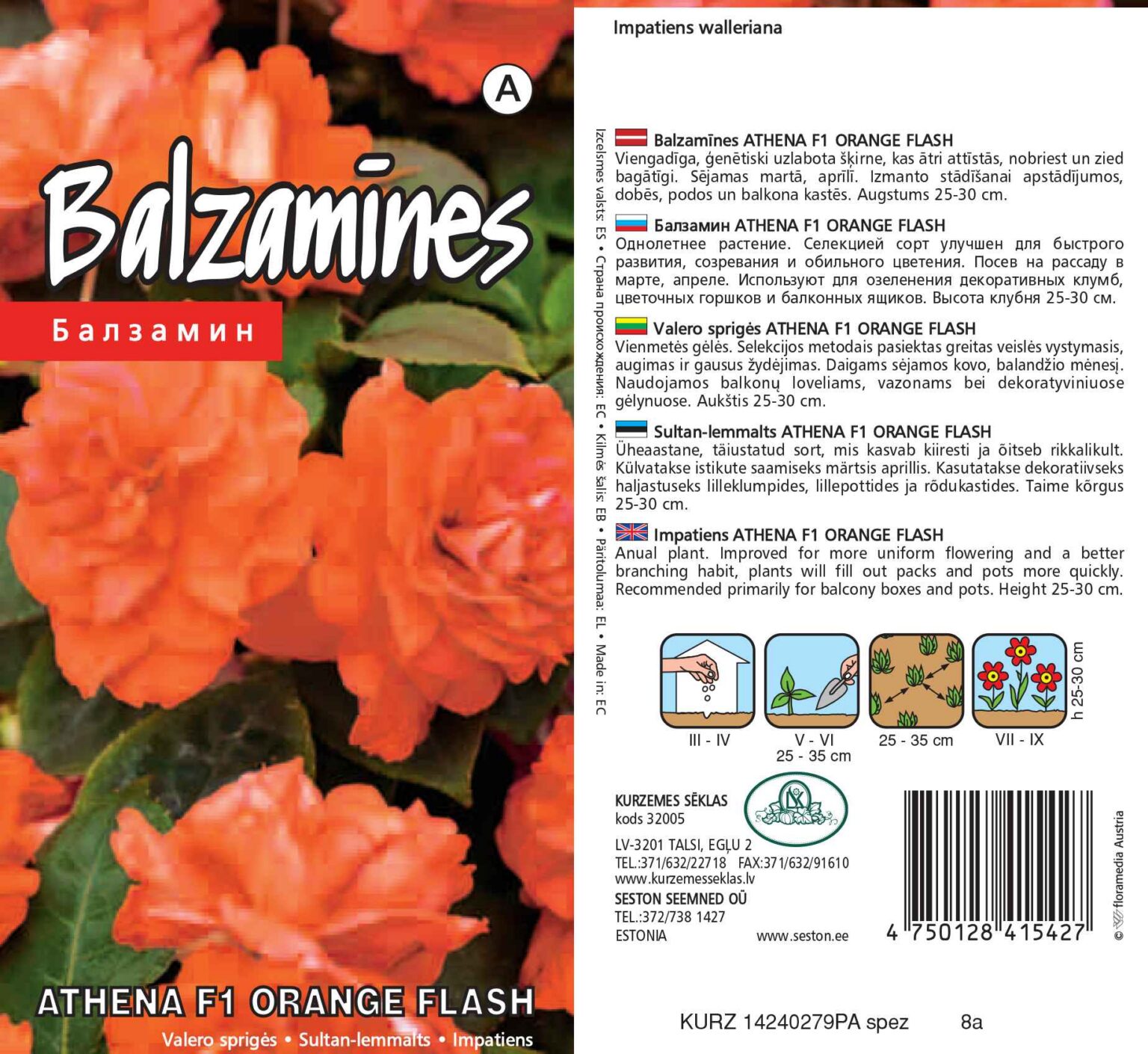 Impatiens "Athena F1 Orange Flash" KURZEMES SĒKLAS 5 seeds