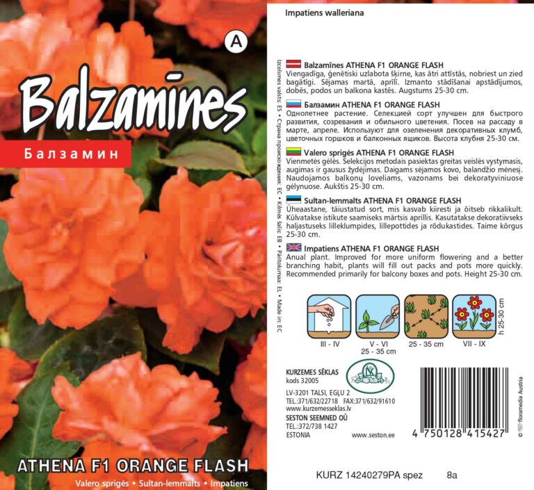 Sultan-lemmalts "Athena F1 Orange Flash" KURZEMES SĒKLAS 5 s.