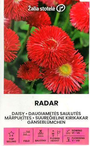 Isokukkainen kaunokainen "Radar" Žalia stotele 0,2 g
