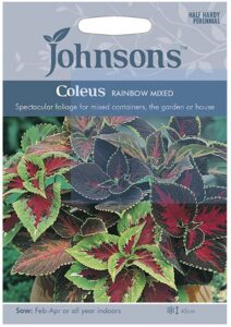 Värd-Kirinõges "Rainbow Mixed" Johnsons 100 s.