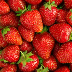 Fragaria ananassa "Elsanta"