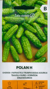 Kurk kornišon "Polan H" Žalia stotele 2 g