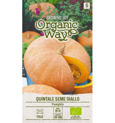 Pumpkin "Quintale Seme Giallo" Organic Way 2 g