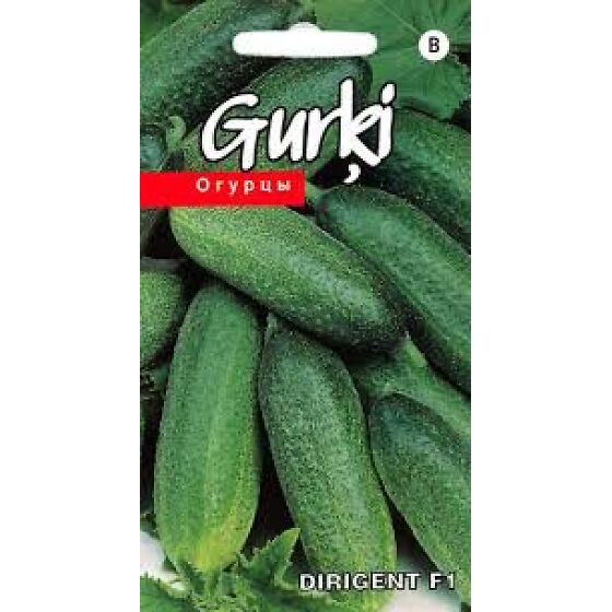 Small-fruited cucumber "Dirigent F1" AKONE 10 seeds