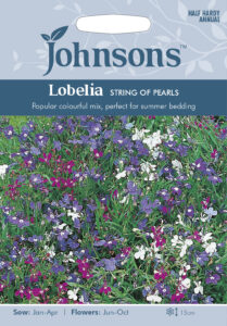 Lobeelia "String of Pearls" Johnsons 2500 s.