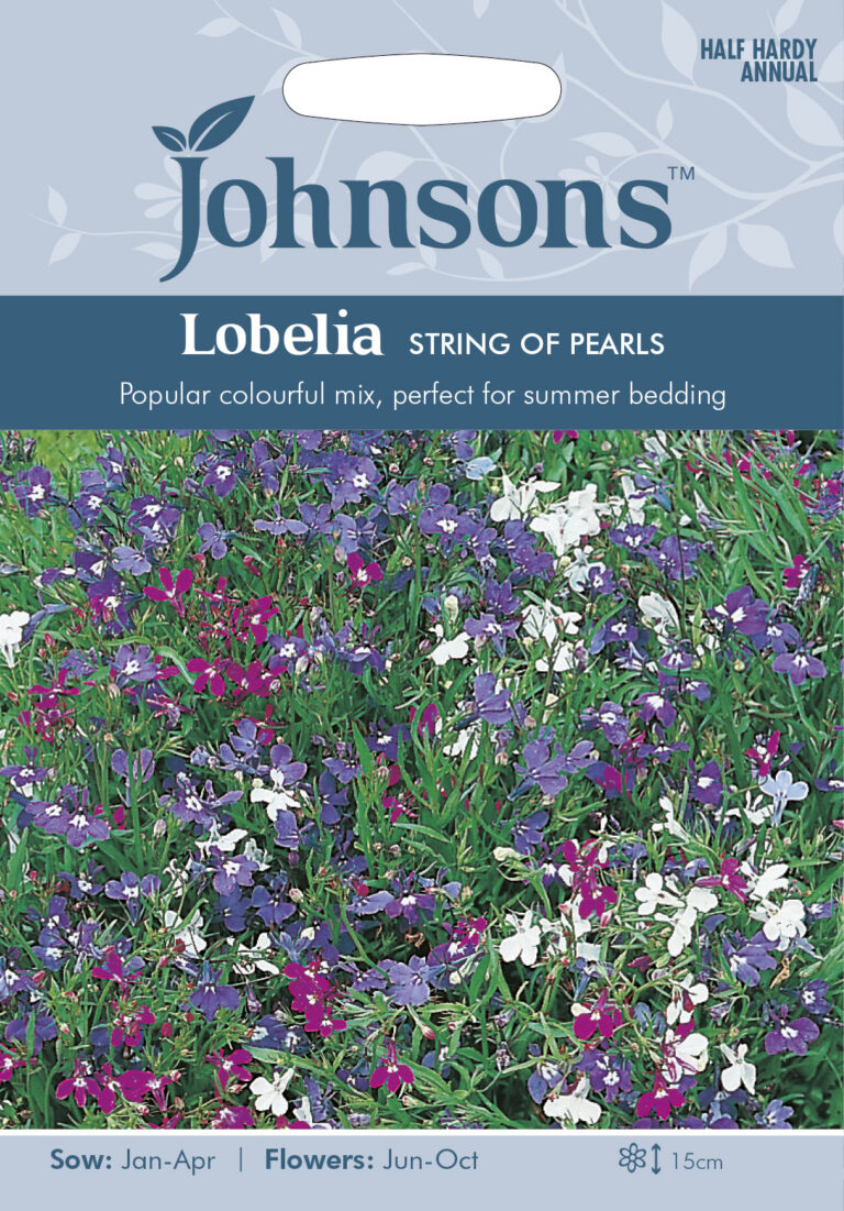 Lobeelia "String of Pearls" Johnsons 2500 s.