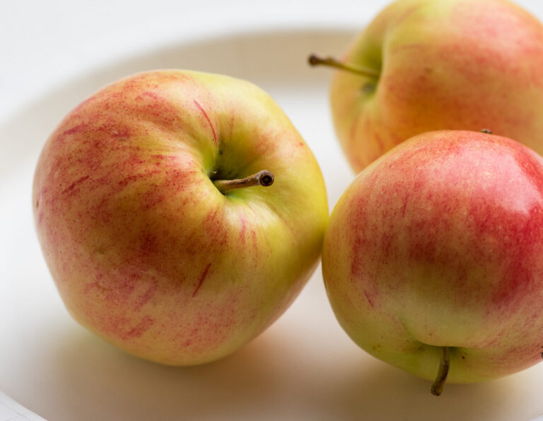 Malus domestica "Krügeri Tuviõun"