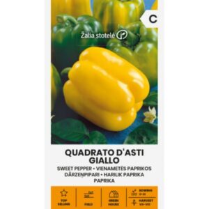 Maguspipar "Quadrato d'Asti Giallo" Žalia stotele 0,1 g