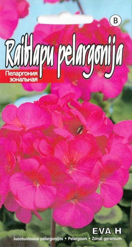 Pelargonija "Eva H" KURZEMES SĒKLAS 5 sėklos