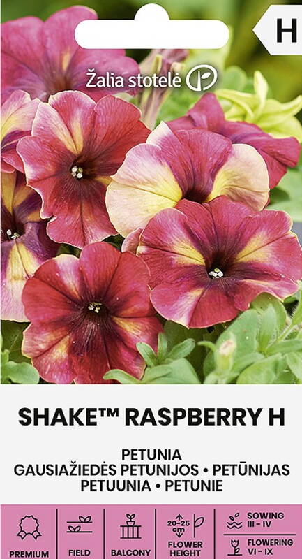 Petuunia "Shake TM Raspberry H" Žalia stotele 20 s.