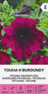 Petuunia "Touha H Burgundy" Žalia stotele 20 s.