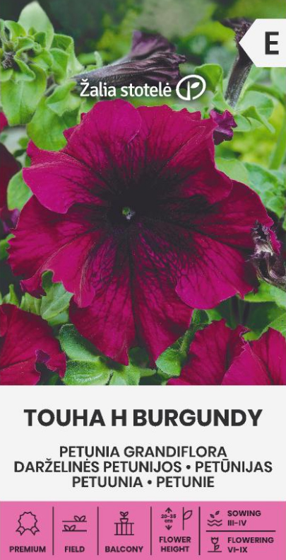 Petunija "Touha H Burgundy" Žalia stotele 20 sėklų