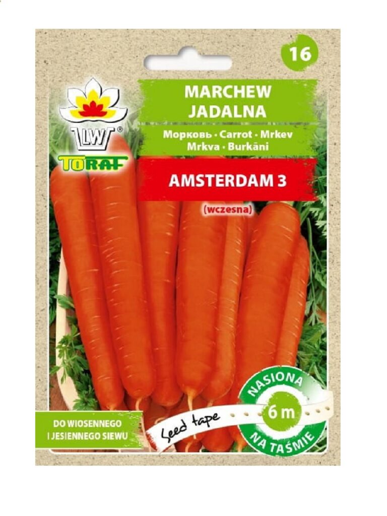 Porgand "Amsterdam 3" 6 m Toraf