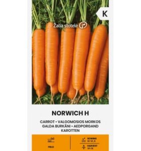 Porgand "Norwich H" Žalia stotele 1 g