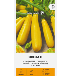 Harilik kõrvits "Orelia H" Žalia stotele 5 s.