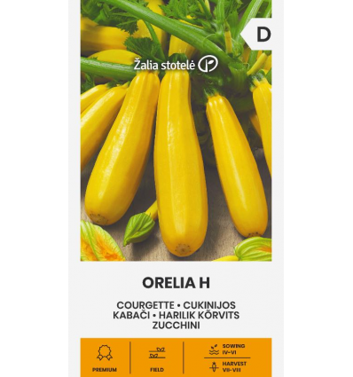 Pumpkin "Orelia H" Žalia stotele 5 seeds