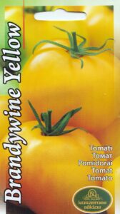 Pomidoras "Brandywine Yellow" KURZEMES SĒKLAS 0,1 g