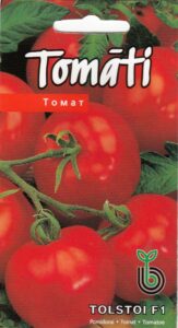 Tomat "Tolstoi H" KURZEMES SĒKLAS 20 s.
