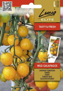 Tomat "Wild Galapagos" Lucia ELITE 10 s.