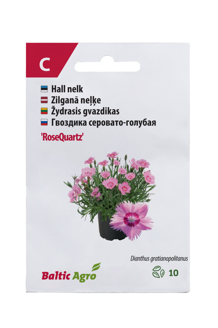 Гвоздика "Rose Quartz", 10 семян, Baltic Agro
