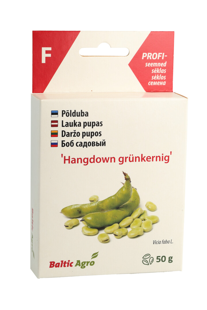 Боб русский "Hangdown grünkernig", 50 г, Baltic Agro
