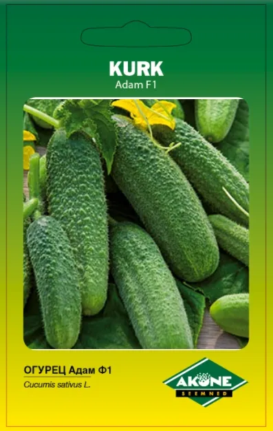 Kurk väikeseviljaline "Adam F1" AKONE 10 s.