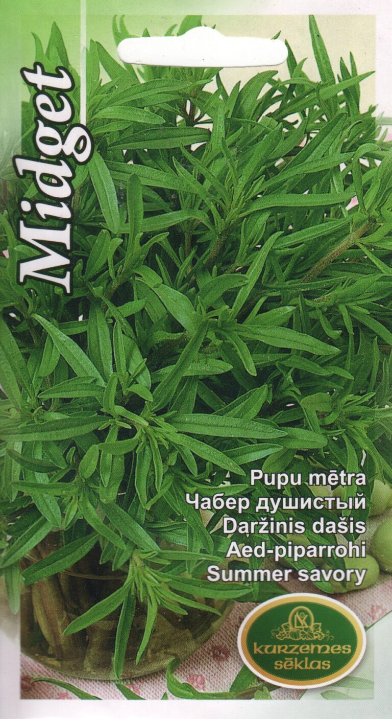 Aed-piparrohi "Midget" KURZEMES SĒKLAS 0,3 g