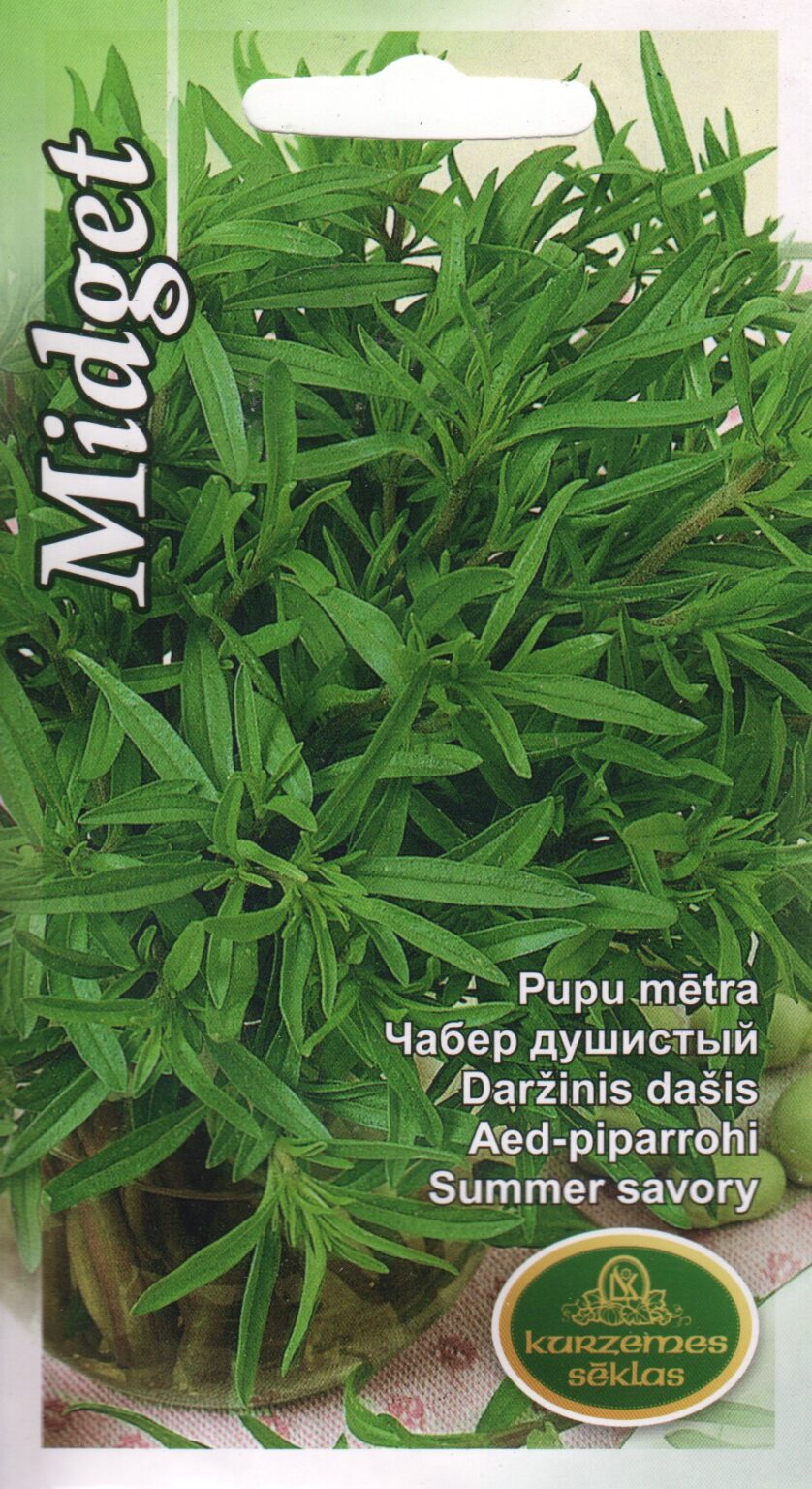 Aed-piparrohi "Midget" KURZEMES SĒKLAS 0,3 g