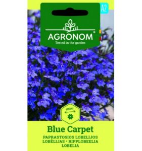 Ripplobeelia "Blue Carpet" AGRONOM 0,1 g