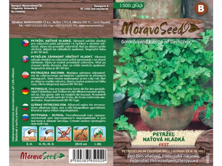 Petersell "Fest" Moravo Seed 1500s.