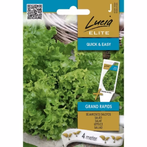 Salat "Grand Rapids" Lucia ELITE 4 m