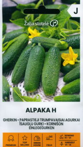 Väikeseviljane kurk "Alpaka F1" AKONE 10 s