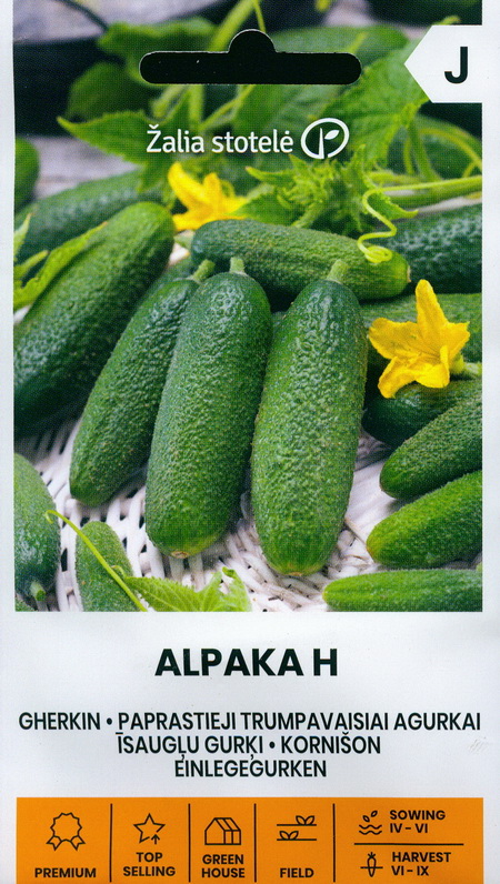 Sīkaugļu gurķis "Alpaka F1" AKONE 10 gab.