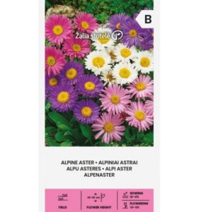 Alpi aster "Autumn Beauty" Žalia stotele 0,5 g