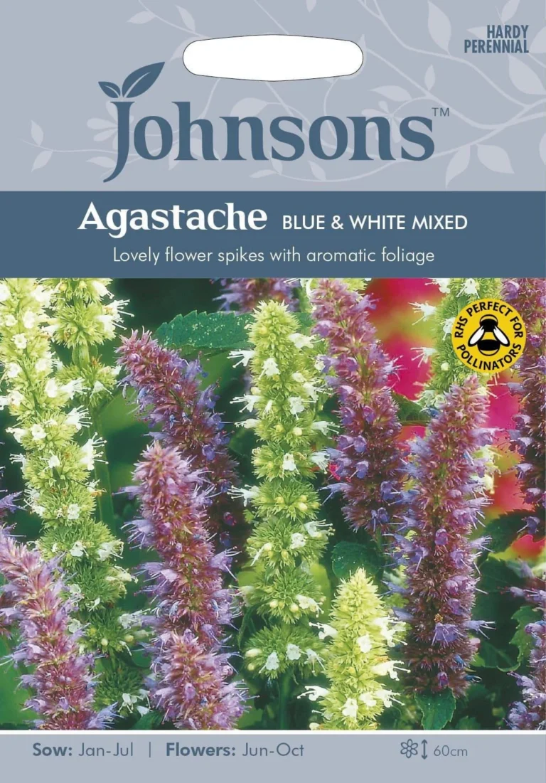 Anyžinė agastachė, mėlynų ir baltų mišinys (Agastache) Johnsons 200 sėklų