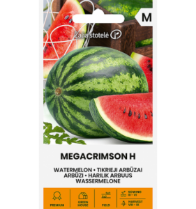 Arbuus "Megacrimson H" Žalia stotele 10 s.