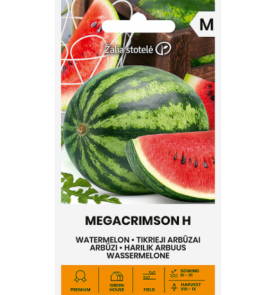 Arbuus "Megacrimson H" Žalia stotele 10 s.