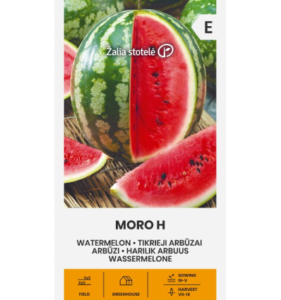 Arbuus "Moro H" Žalia stotele 1 g