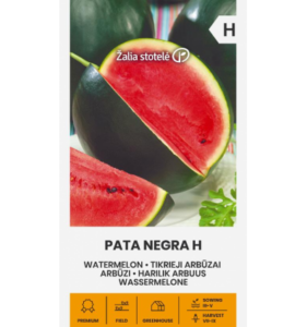 Arbuus "Pata Negra H" Žalia stotele 5 g