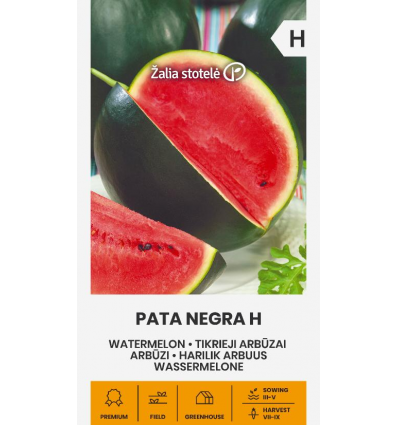 Arbūzs "Pata Negra H" Žalia stotele 5 g