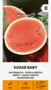 Arbuus "Sugar Baby" Žalia stotele 1 g